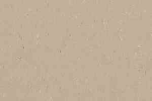 Линолеум Forbo Marmoleum Solid Piano 3630-363035 angora фото  | FLOORDEALER